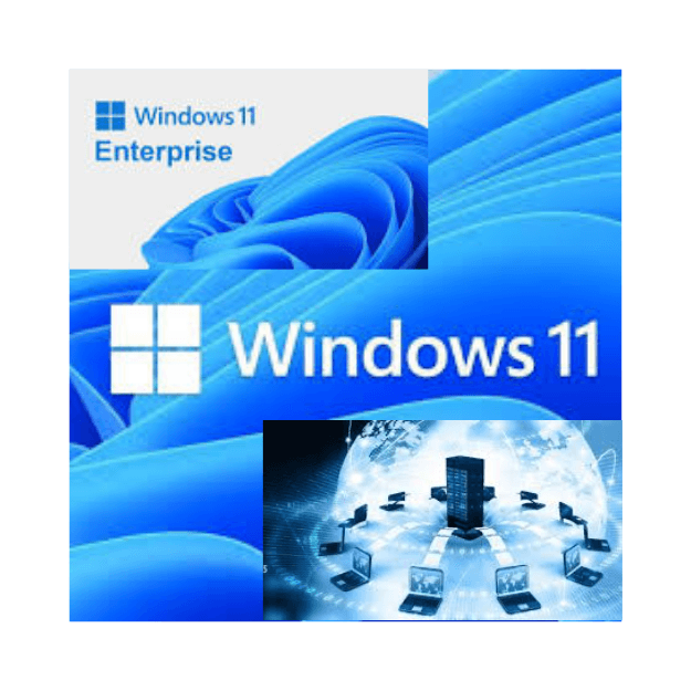 WINDOWS 11 ENTERPRISE - Image 2